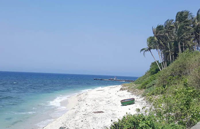 Cảnh đẹp ở đảo Lý Sơn - Hàng dừa xanh